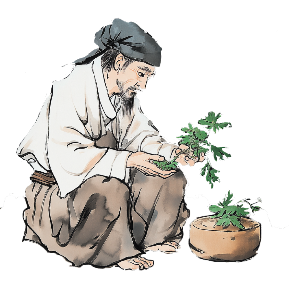 王医师妇科专家